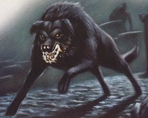 veryfatoldman.blogspot.com