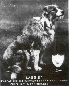 lassie